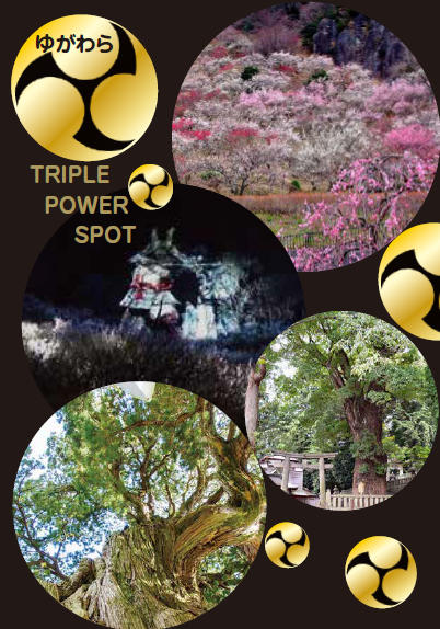 トリプルパワースポットチラシ表紙の画像
