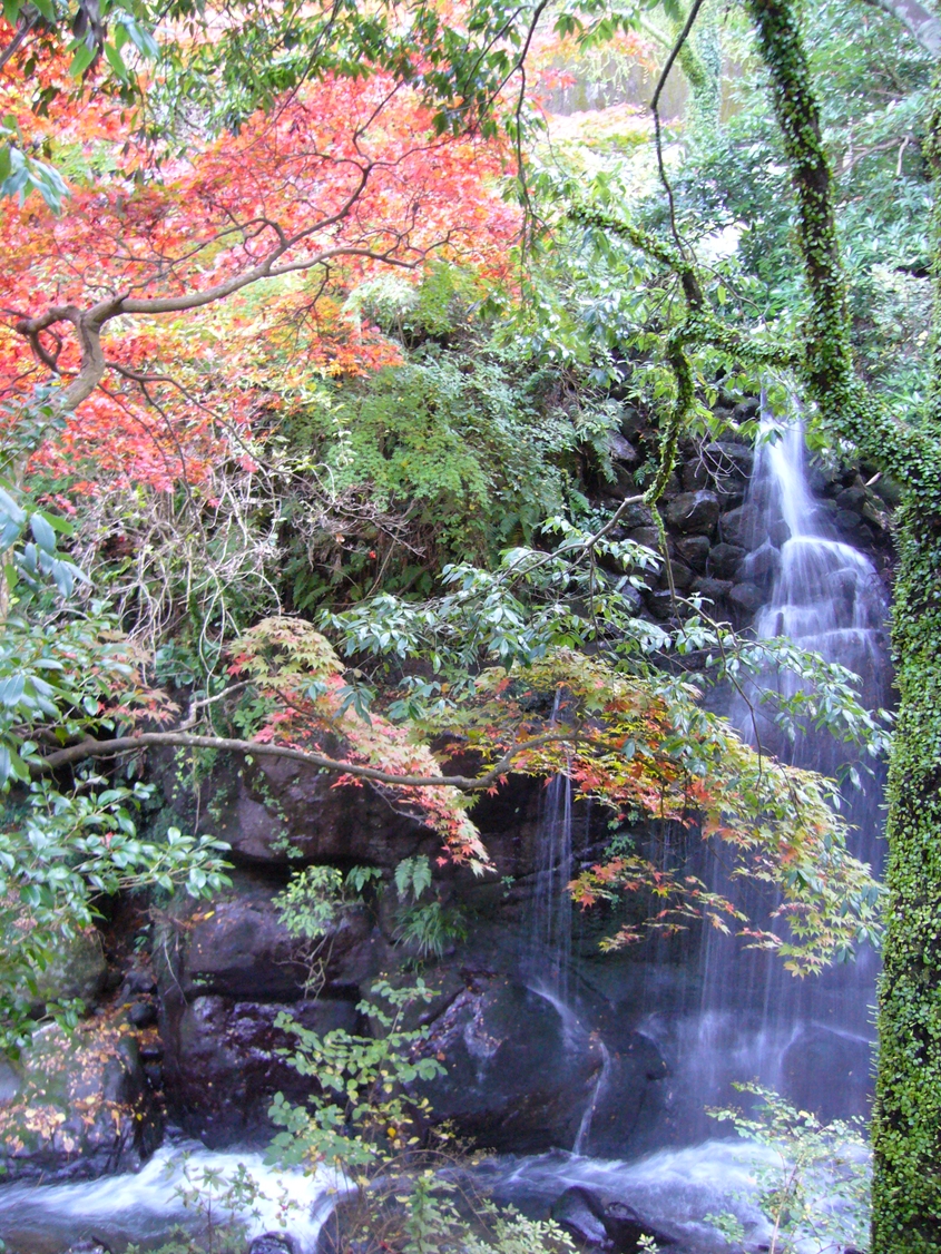 万葉公園のもみじと滝の画像