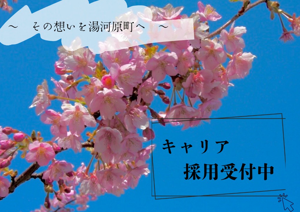 令和9年4月1日採用試験(キャリア)