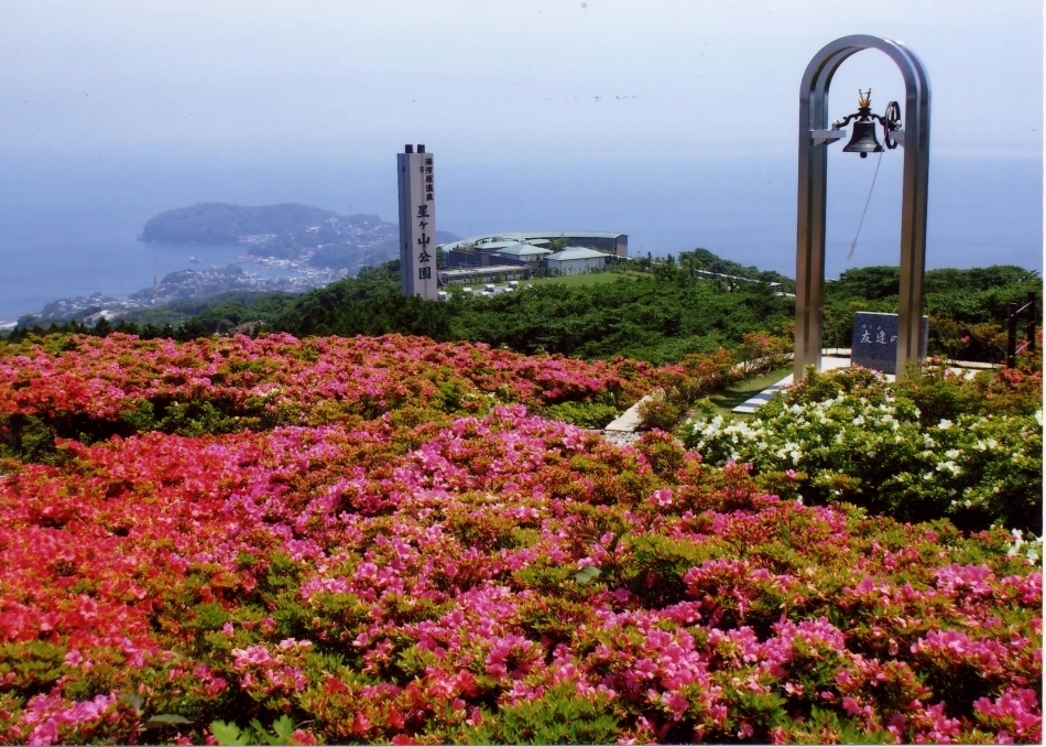 星ケ山公園さつきの郷の画像