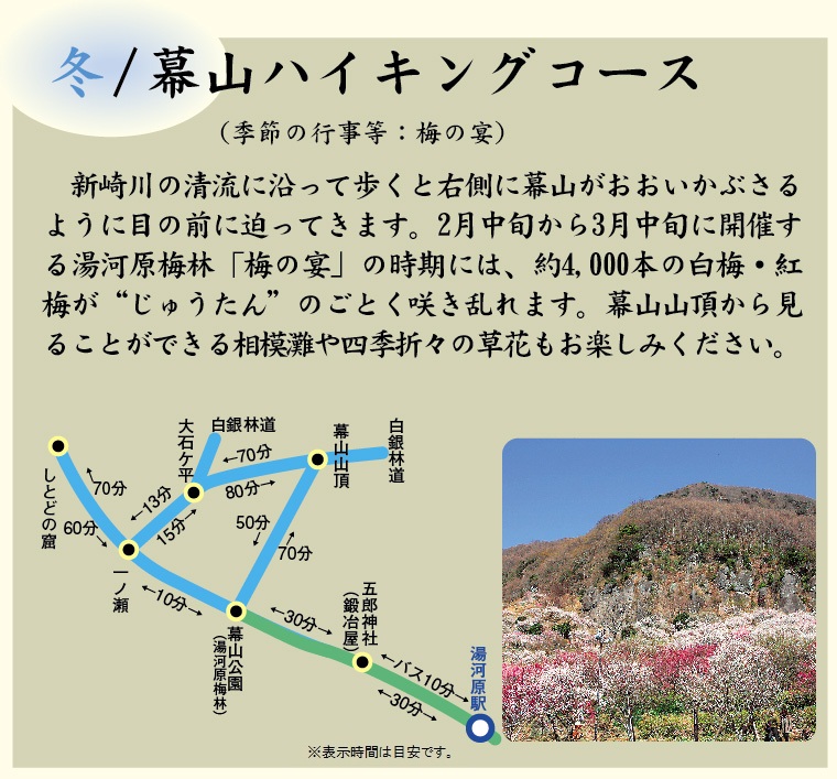 「冬/幕山ハイキングコース」　新崎川の清流に沿って歩くと、右側に幕山がおおいかぶさるように目の前に迫ってきます。2月中旬から3月中旬に開催する湯河原梅林「梅の宴」の時期には、約4,000本の白梅・紅梅が”じゅうたん”のごとく咲き乱れます。幕山山頂から見ることができる相模灘や、四季折々の草花もお楽しみください。