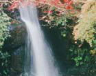 万葉公園の滝の画像