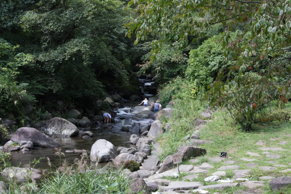 幕山公園内に流れる川の画像