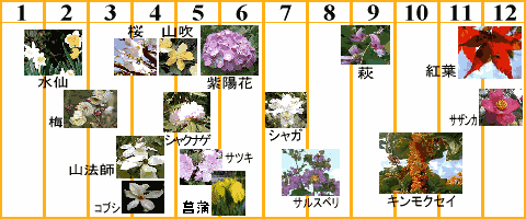 幕山公園　花のカレンダー