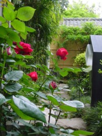 湯河原美術館　日本庭園の画像7