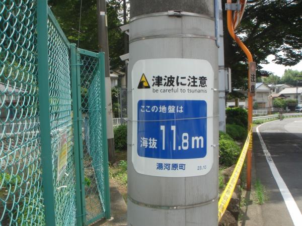 東電柱巻き海抜表示板