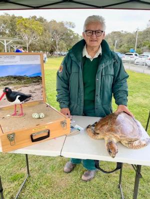 マリンパークからオイスターキャッチャーという貝類を食べる鳥とオウウミガメの模型の展示