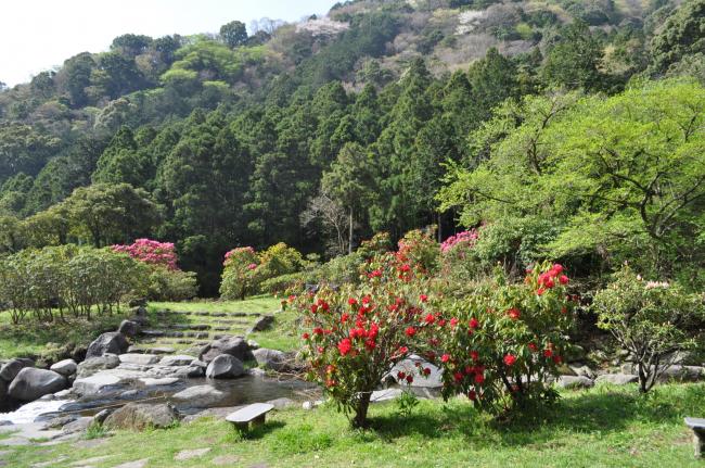 幕山