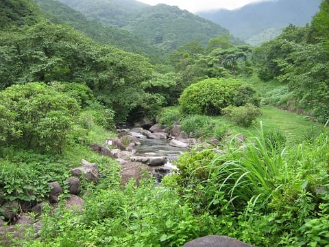幕山公園