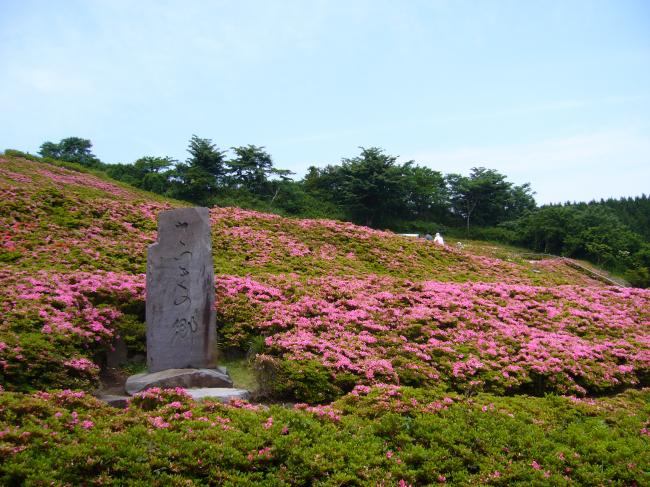 さつき