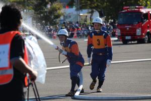 ホース整理