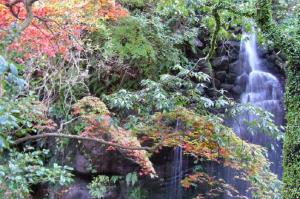 湯河原町の名所の一つ「万葉公園」の紅葉を映した写真です。