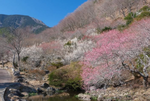 入賞①