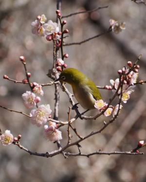 入賞②