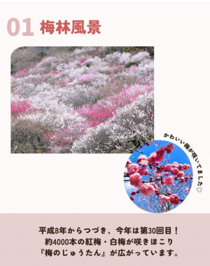 入賞③