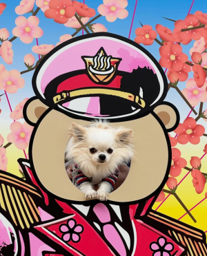 入賞④