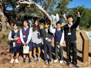 コアラサンクチュアリ