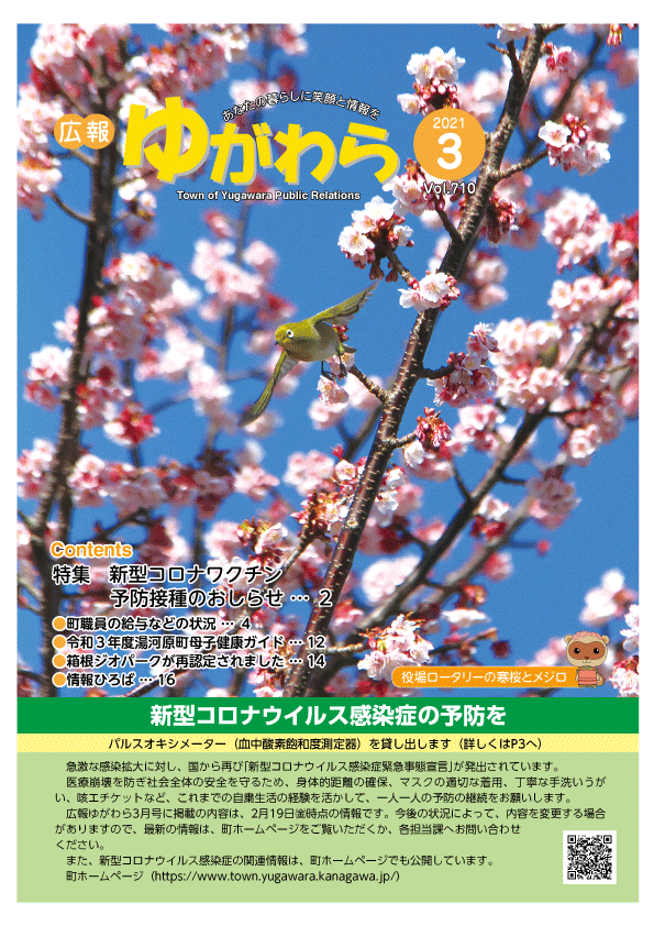 表紙『役場ロータリーの寒桜とメジロ』