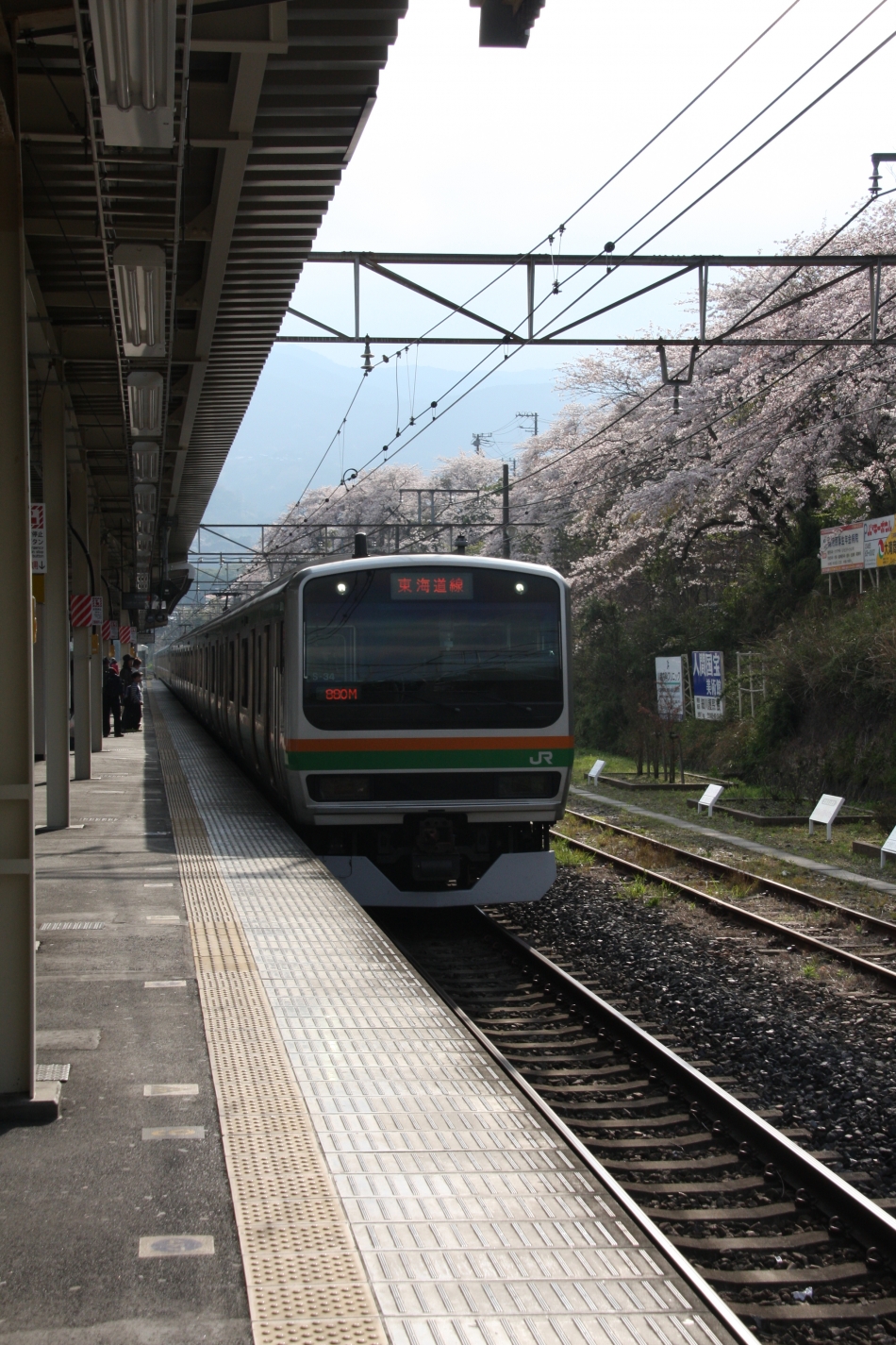 JR湯河原駅の桜