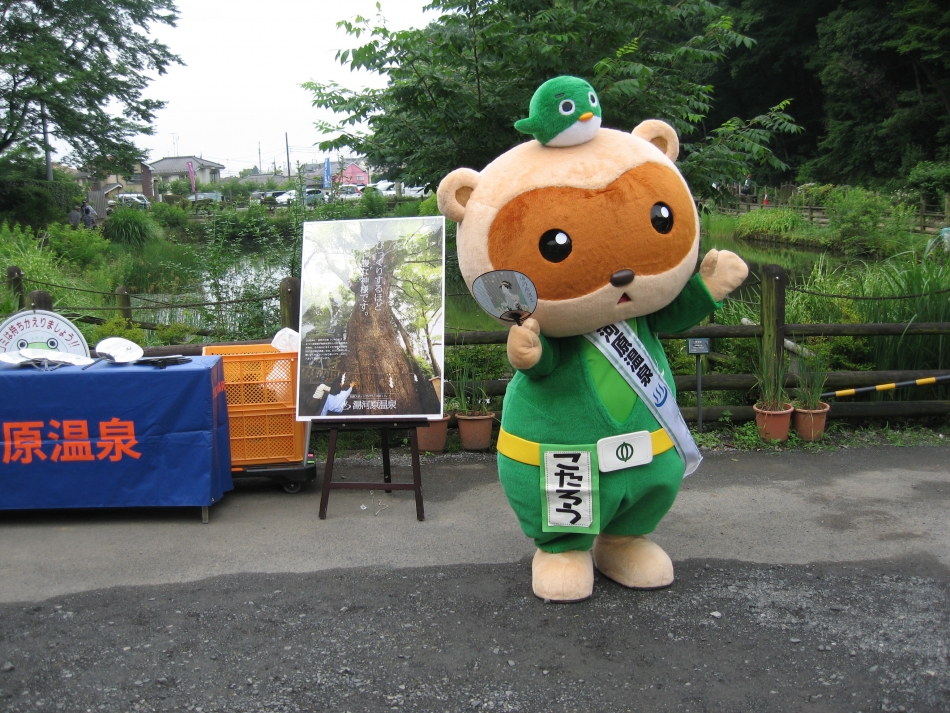 青梅吹上花しょうぶまつり