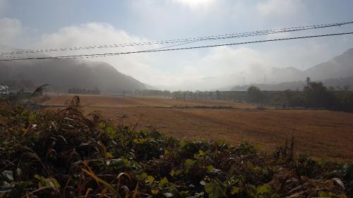 ピネ道から見える韓国の田舎の風景