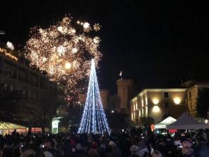 新年を祝う花火大会