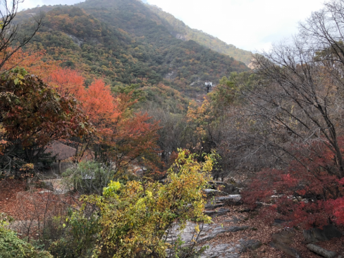 弥勒寺址と馬鹿オンダル3