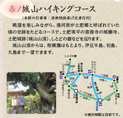 城山ハイキングコース