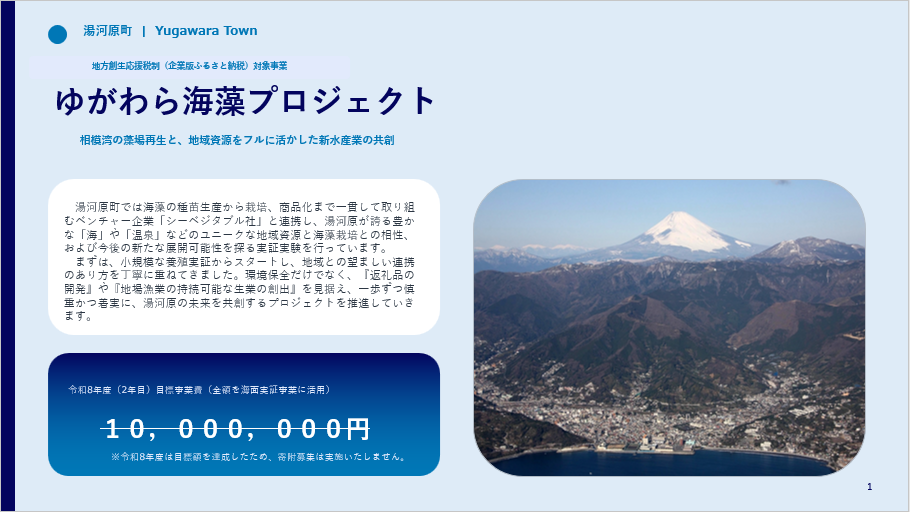海藻(1)